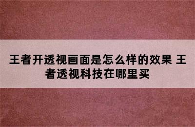 王者开透视画面是怎么样的效果 王者透视科技在哪里买